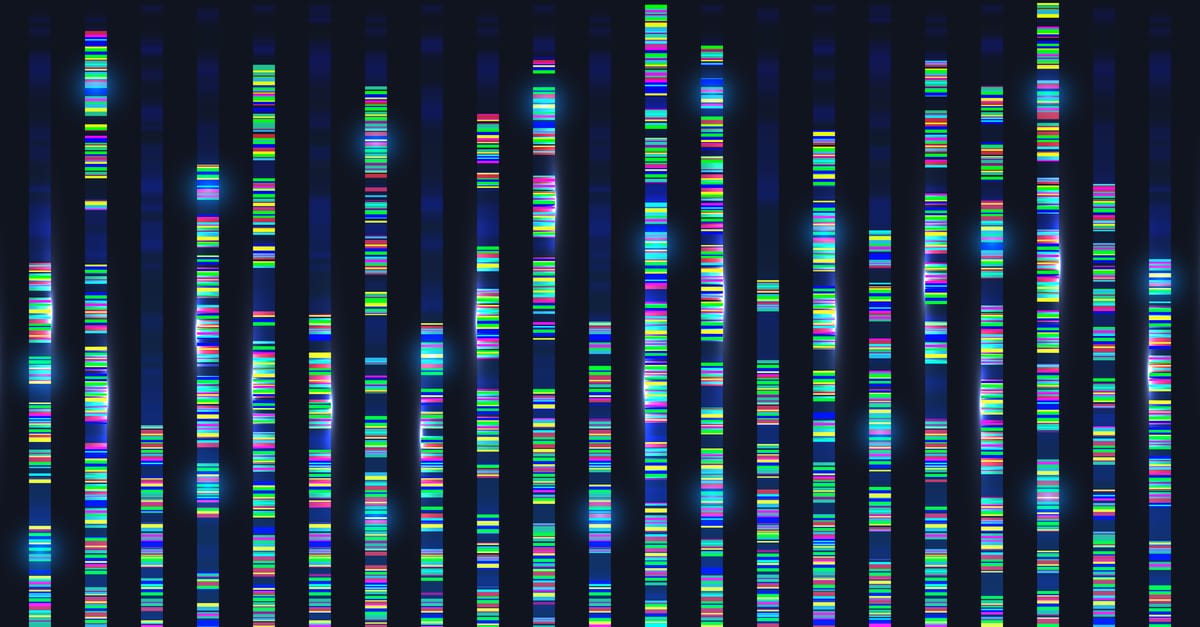 Dataset Insights and Summaries from our Health Data Science Team